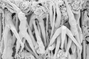 35797377825_8607d295fb_z